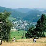 Edelweiss 'muehlenkopf' Deluxe - Mit Hotelanbindung, Saunalandschaft Und Meinecardplus