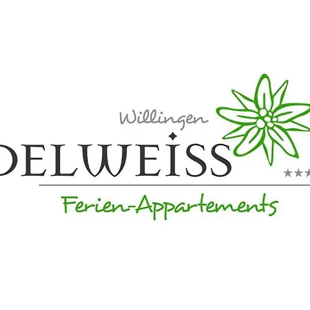 Appartement Edelweiss 'muehlenkopf' Deluxe - Inkl Wellness-spa Und Meinecardplus