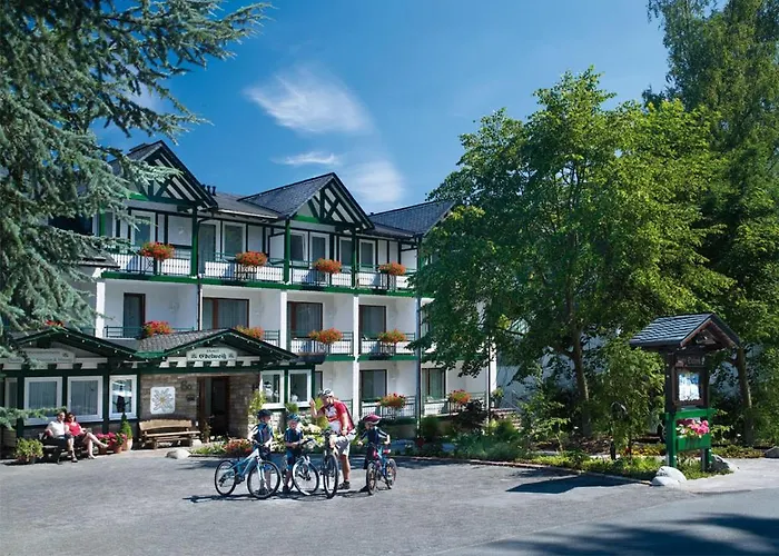 Appartement Edelweiss 'muehlenkopf' Deluxe - Mit Hotelanbindung, Saunalandschaft Und Meinecardplus Willingen (Upland)