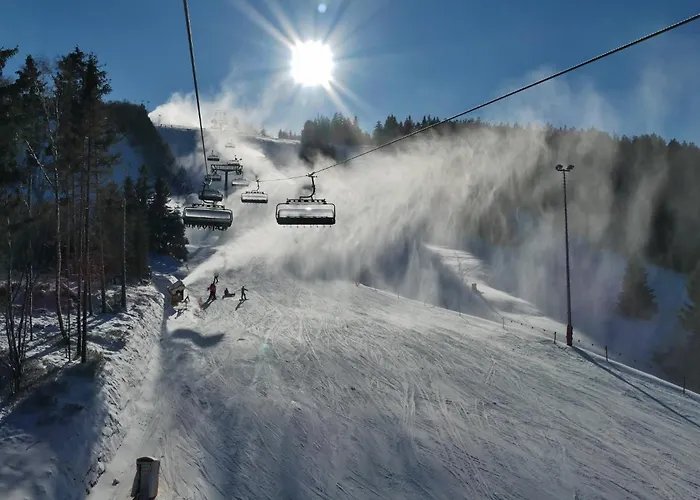 Edelweiss 'muehlenkopf' Deluxe - Inkl Wellness-spa Und Meinecardplus *